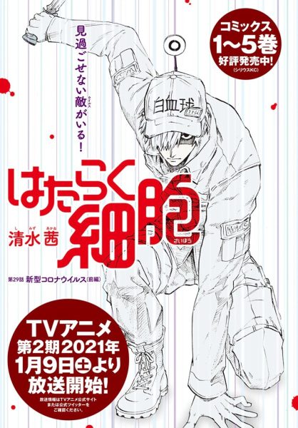 清水茜《工作细胞》次号完结！本号为《新冠篇》前篇