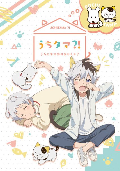 拟人化动画《猫狗宠物街》2020年1月放送，第1弾PV公开