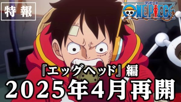 《海贼王》动画新剧情将停播至25年4月